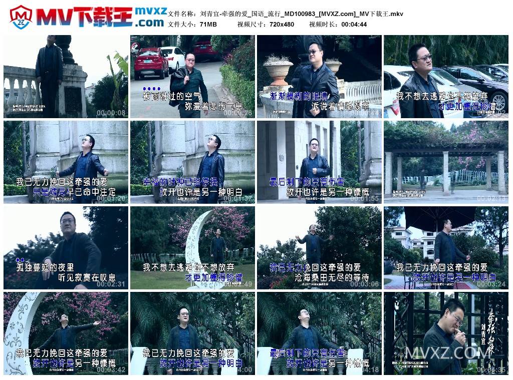 刘青宜-牵强的爱_国语_流行_MD100983